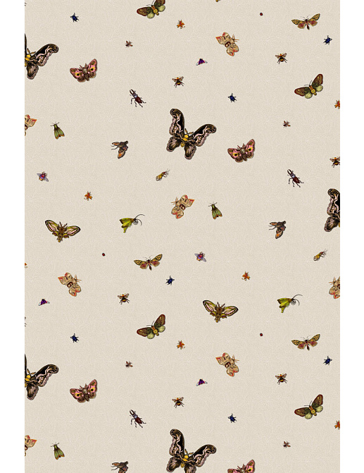 Обои Timorous Beasties Ruskin Collection RUS/NCR/MATT/01