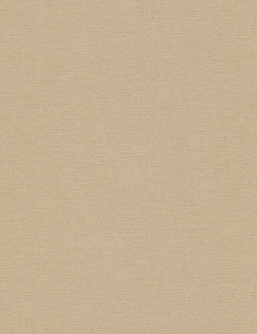 Обои A. S. Creation Ethnic Origin 306888