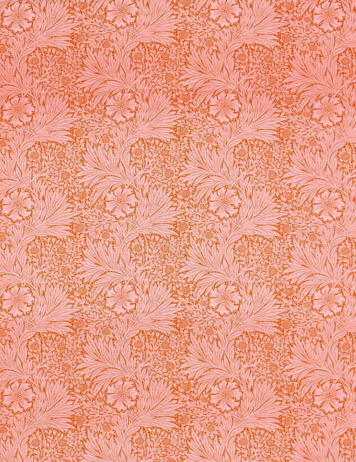 Ткань Morris & Co Ben Pentreath 226844