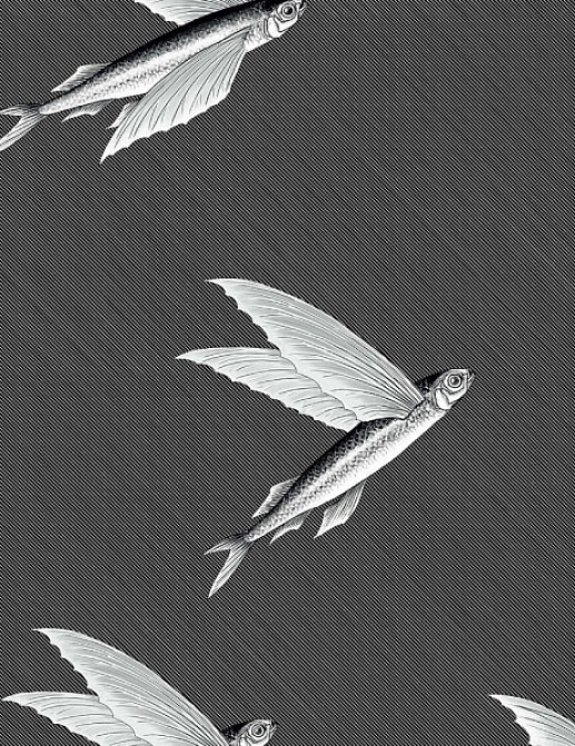Ткань Flying Fish Interior Textiles П-1-L