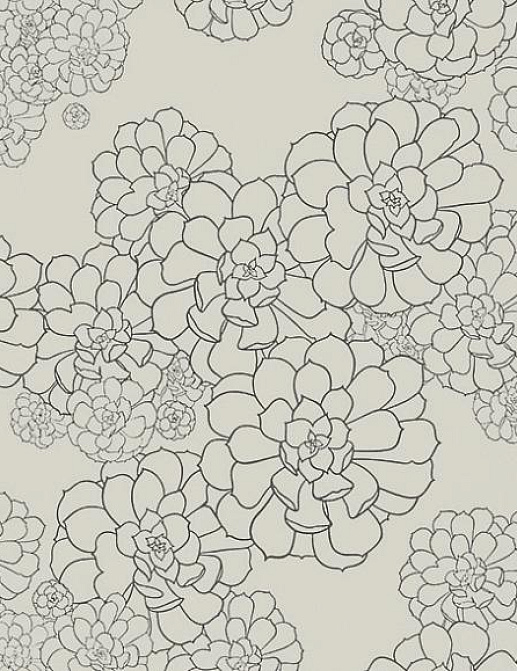 Обои Paint & Paper Library Tresco Aeonium Cotton