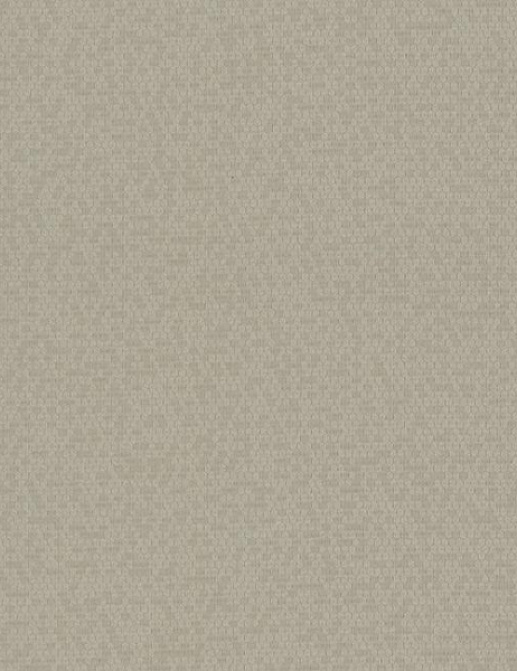 Обои York Candice Olson - Terrain COD0501N