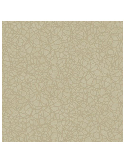 Обои Architector Sahara SH00623