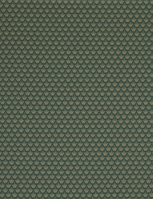 Ткань Ashley Wilde Visage Poiret/Emerald