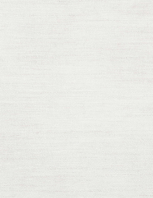 Ткань Nobilis Voiles de Lin XXL №2 10703.24