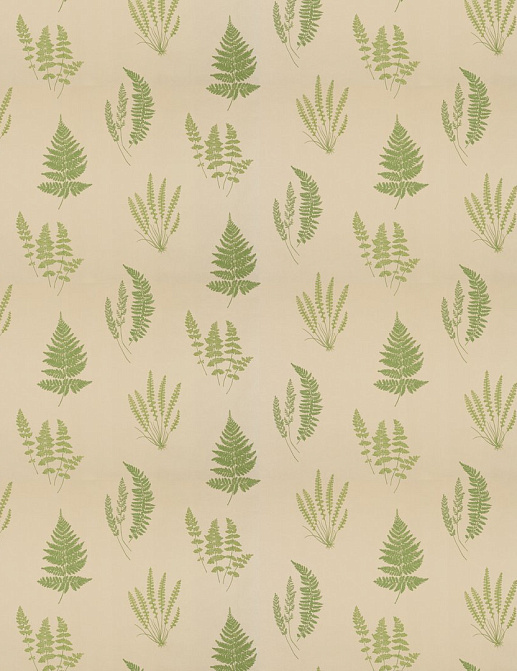 Обои Chivasso Botanica CH9098-040