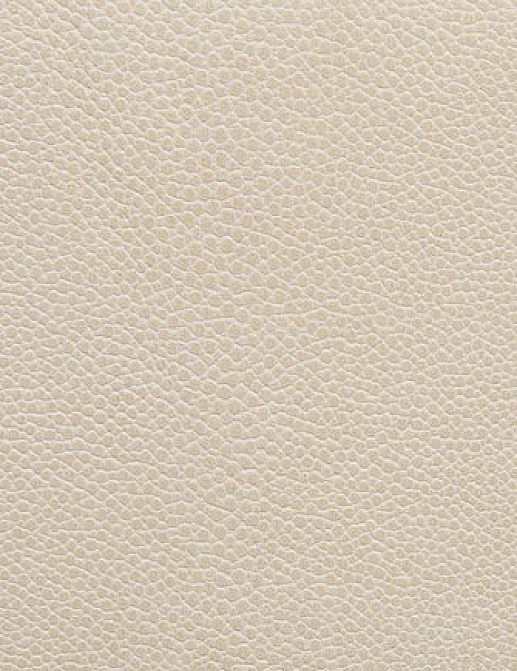 Ткань Holly Hunt Holly Hunt Leather 6000/21