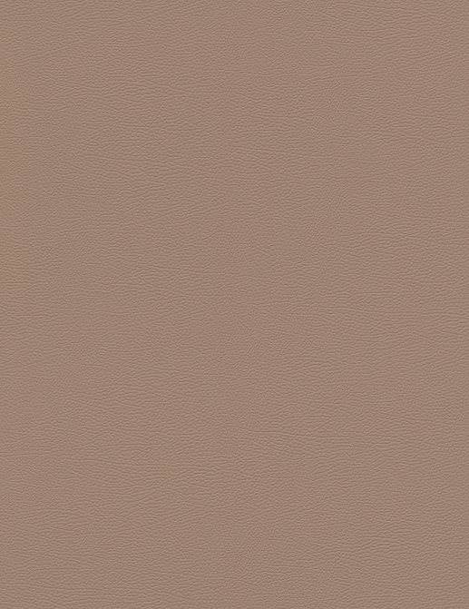 Обои Rasch African Queen III 752724