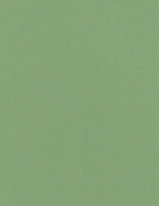 Обои Rasch Onszelf Stories 537918