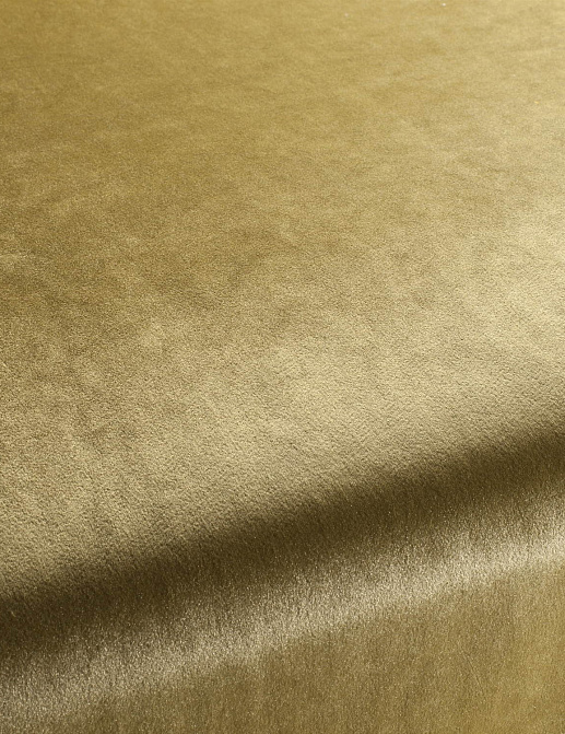 Ткань Chivasso Carlucci di Chivasso Palazzo Velvet CA1175/030