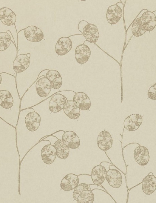 Обои Sanderson Parchment Flowers DPFWHO103