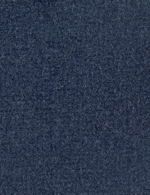 Ткань Alessandro Bini Velluto di Cotone G075/420