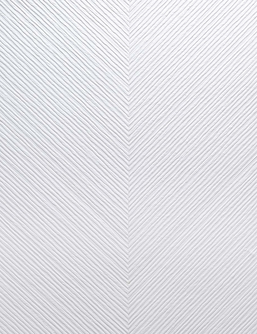 Обои Carl Robinson Edition 20 White Natural Textures CL50032
