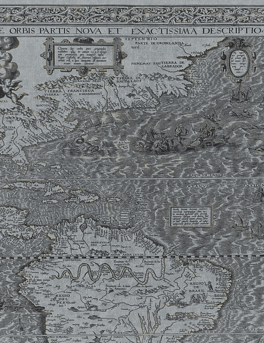 Панно и фотообои Italreflexes Macro Map-010/Silver