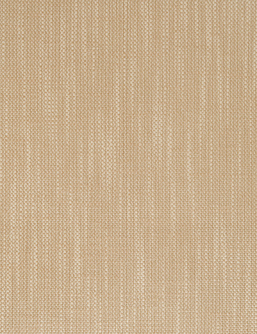 Ткань Designers Guild Ruzzini FT1333/08