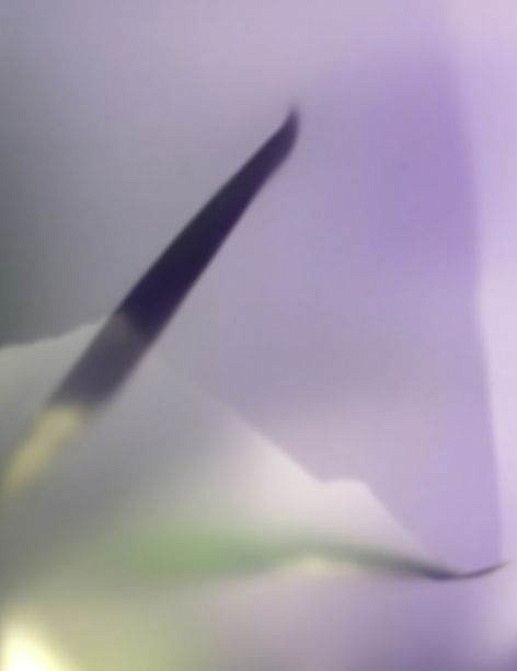 Обои Glamora Creative Wallcovering GLX121A