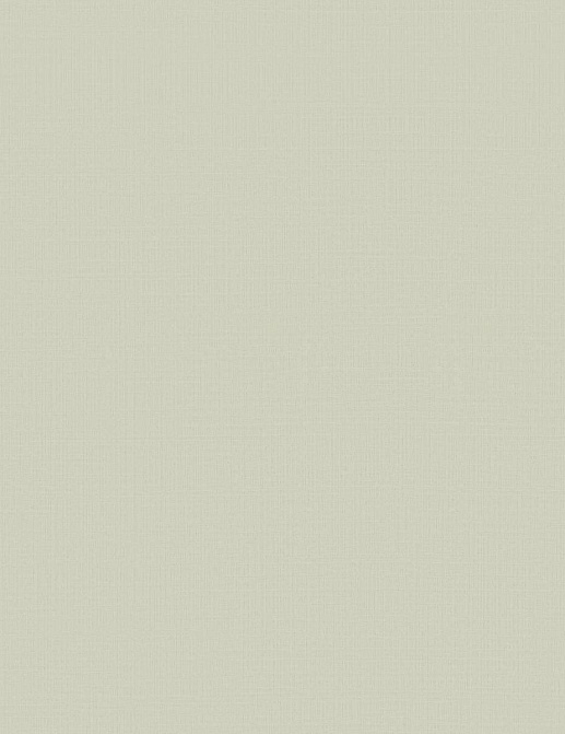 Обои Brewster New Creator 3 BCR1803045