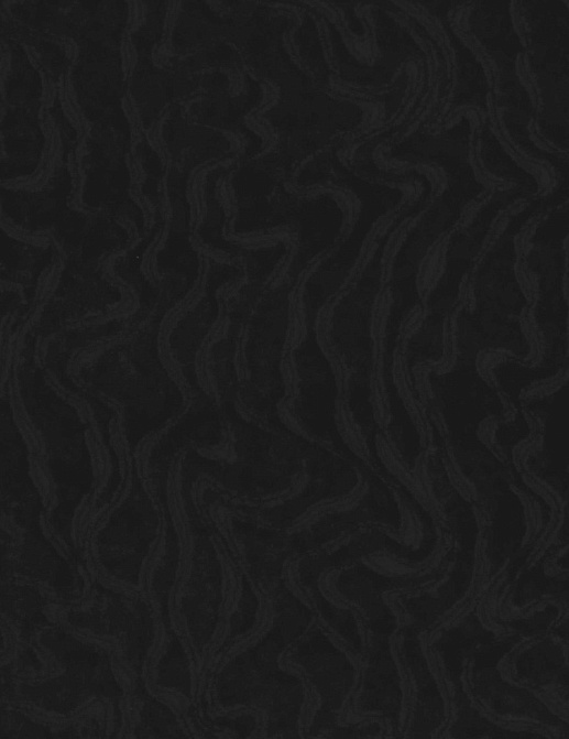 Ткань Zinc Chiaroscuro Z236/08