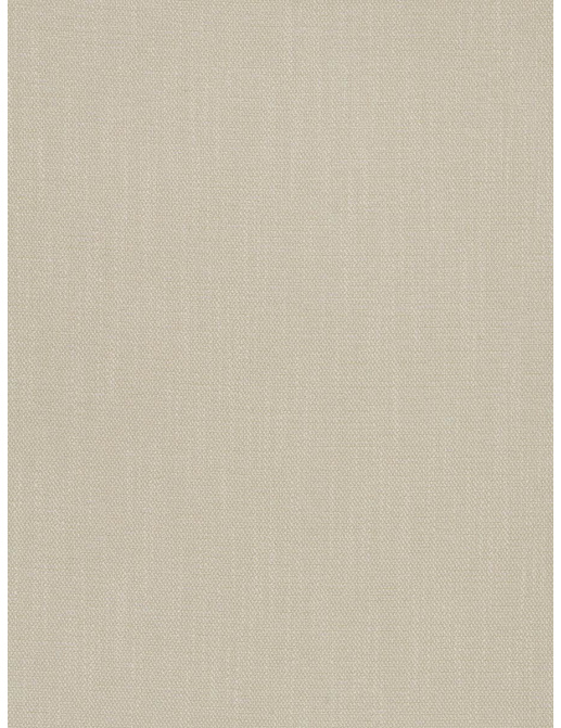 Ткань Fabricut Solids By Color Ivory Mythical/Shell