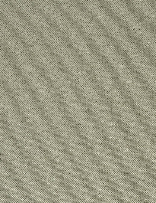 Ткань Designers Guild Cara FT1976/14