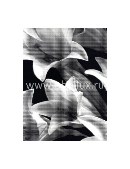 Обои Harlequin Identity 30730