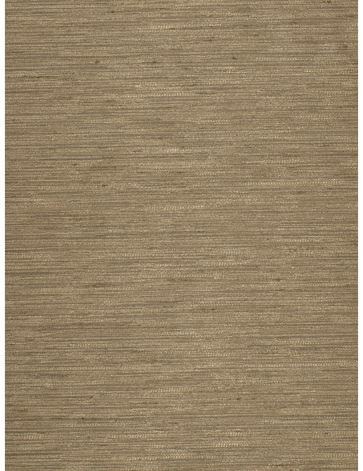 Ткань Trend Silky Solids Drapery 02840/Mushroom