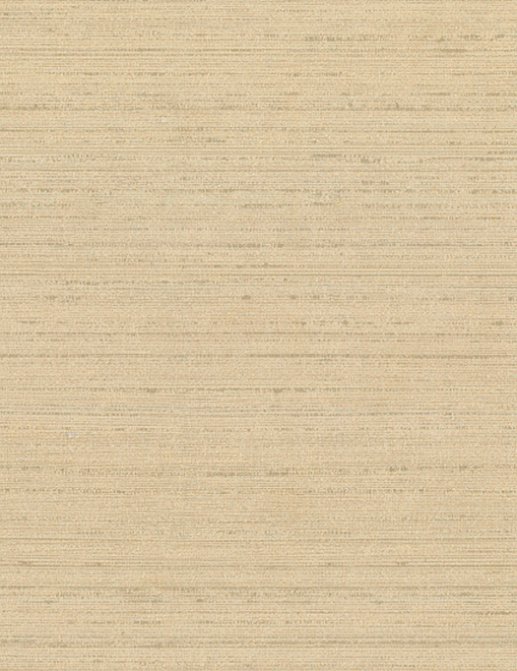 Обои Arte Silkx 67003