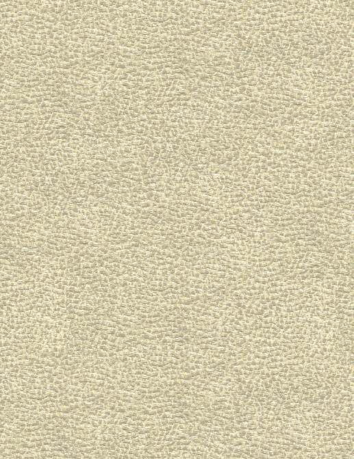 Ткань Kravet Modern Luxe Platinum 33456/11
