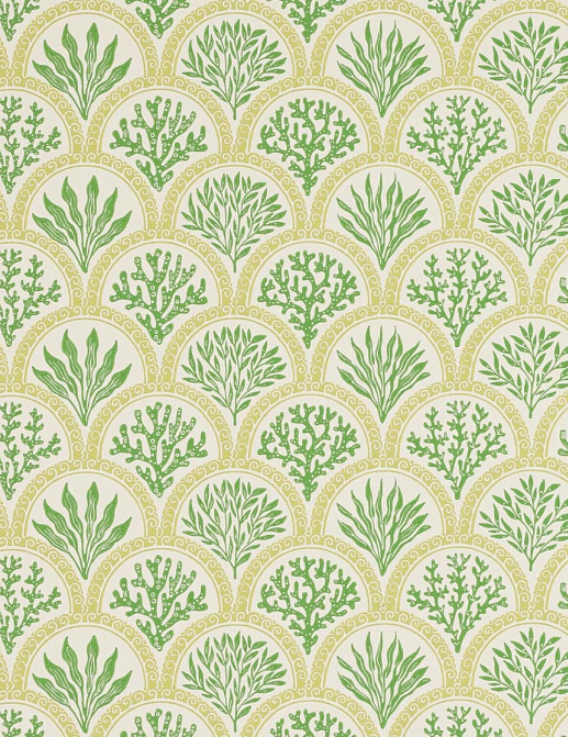 Обои Jane Churchill Innis Wallpapers J186W-02