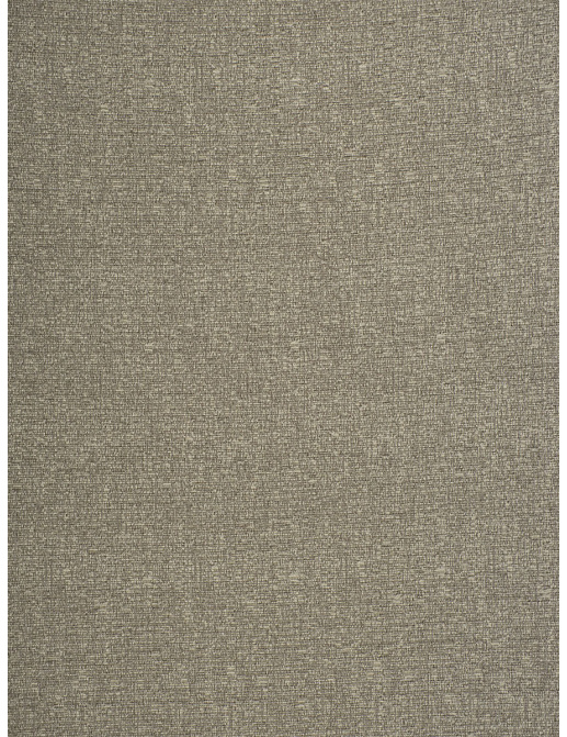 Ткань Trend Ecru-Birch Prints & Wovens Vol.VIII 04403/Dune