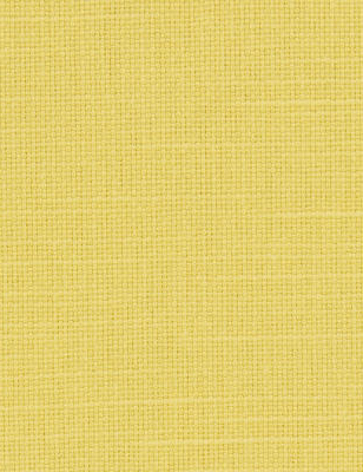 Ткань Designers Guild Salso F1797/29
