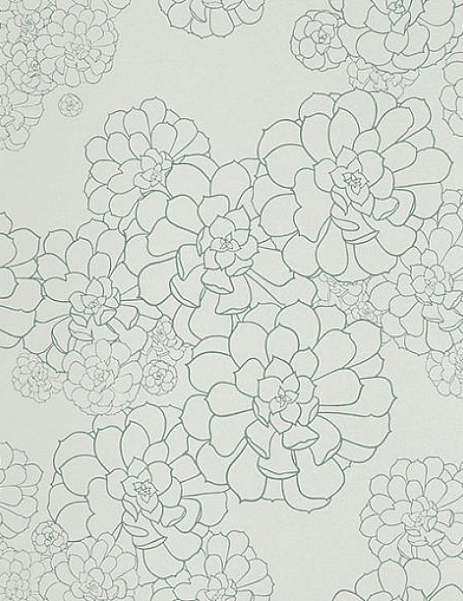 Обои Paint & Paper Library Tresco Aeonium Blue Gum