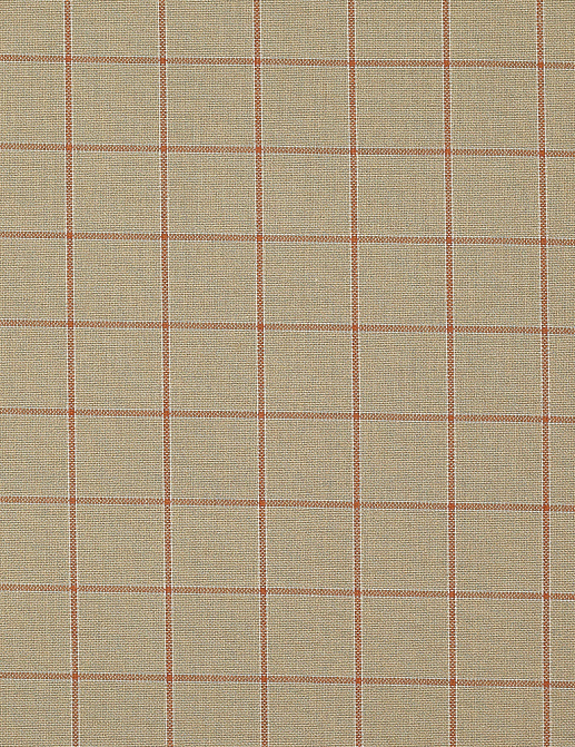 Ткань Colefax and Fowler Edgar Checks & Stripes F4523/01