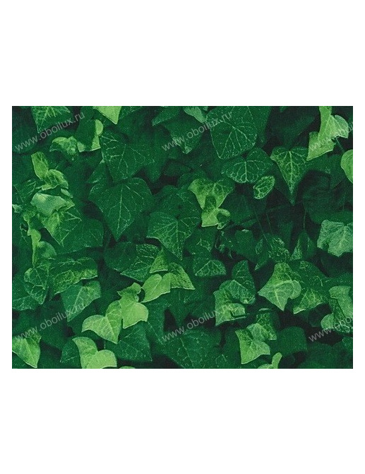 Обои Giardini Phlora & Phauna PH0101