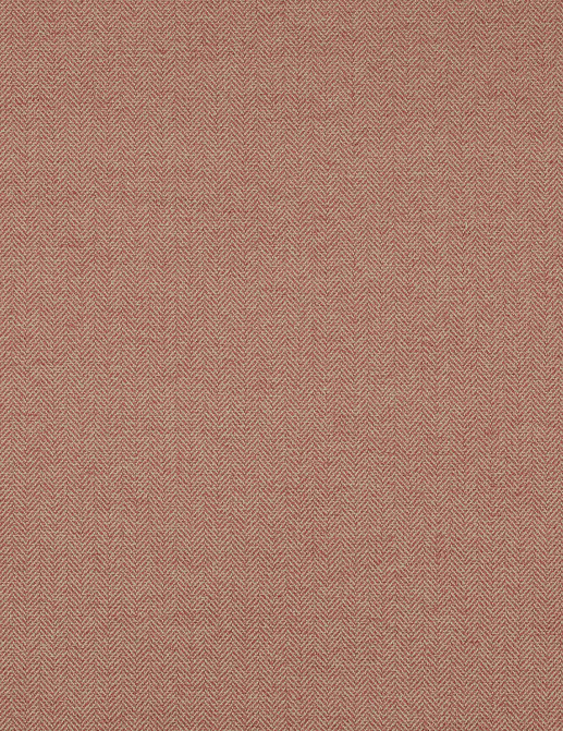 Ткань Colefax and Fowler Magnus Checks F4240/13