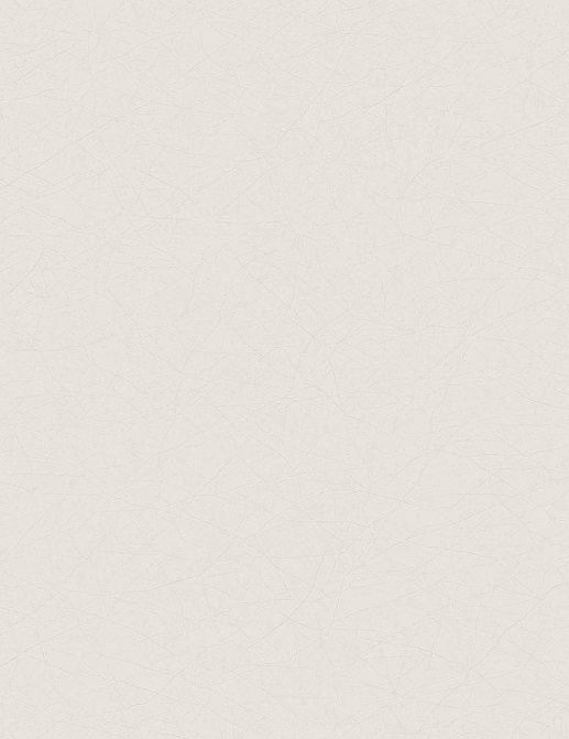 Обои Casadeco So White 2 SWI21079113