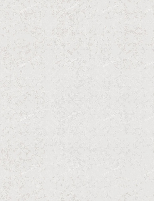 Обои Eco White Light 1711