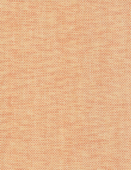 Обои Jannelli & Volpi 454 Omnia 3149