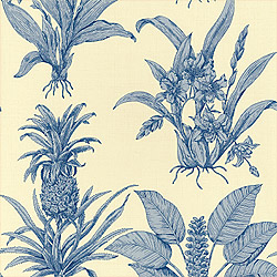 Ткань Thibaut Toile Resource II F99799