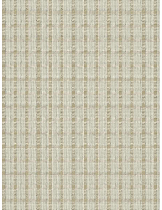 Ткань Fabricut Natural Nuances Vignettes Java OsageCheck/Natural
