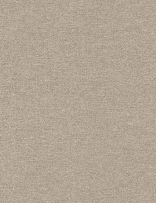 Обои Rasch Lirico 555868