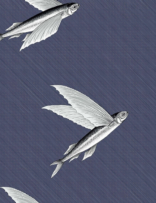 Ткань Flying Fish Interior Textiles П-3-L