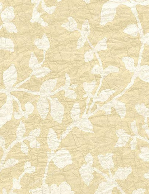 Обои Chesapeake Natural Living NL58183