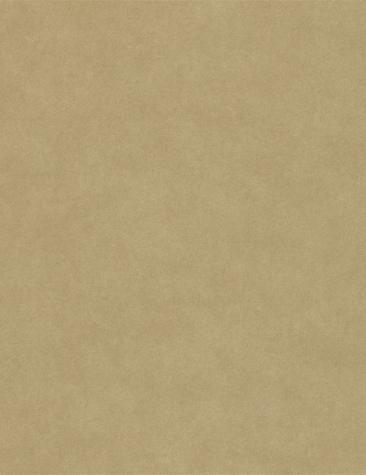 Обои Sanderson Parchment Flowers DPFWPP105
