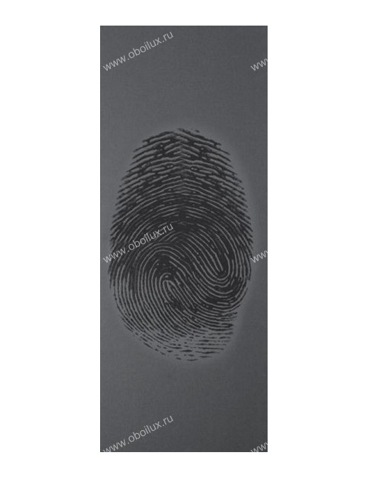Панно и фотообои Marburg Identity 52452