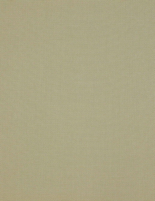 Ткань Manuel Canovas Patmos 04940/01