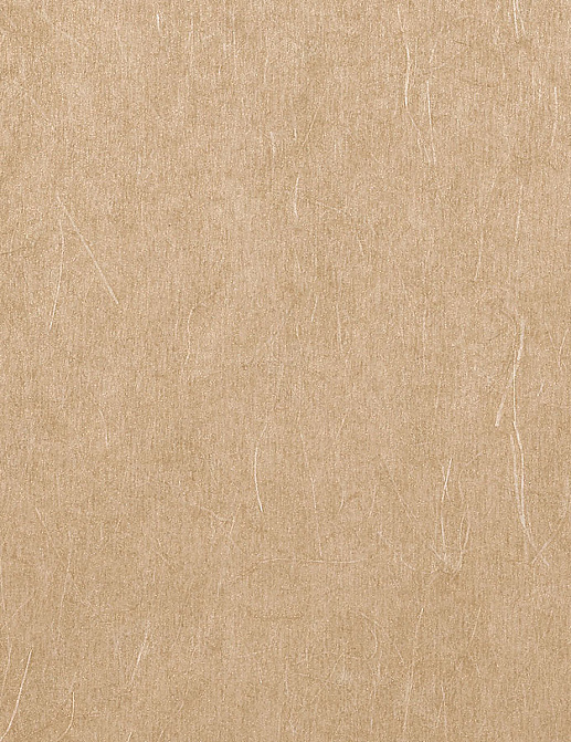 Обои Phillip Jeffries Naturals 1050