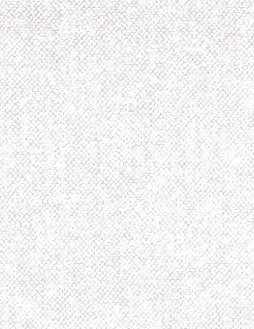 Обои Arte Belgian Linen 67121