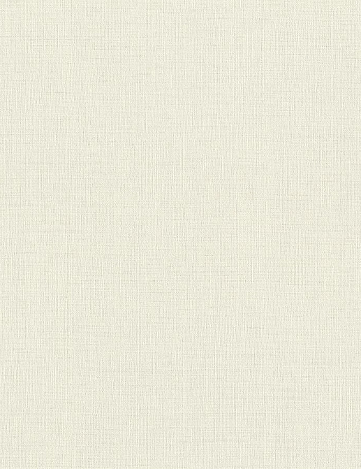 Обои Rasch Настенные структуры. Том 4 / Wall Textures XL Vol. 4 970616