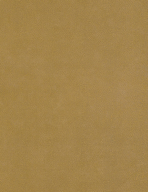Обои Casadeco Leathers LEAT87162407